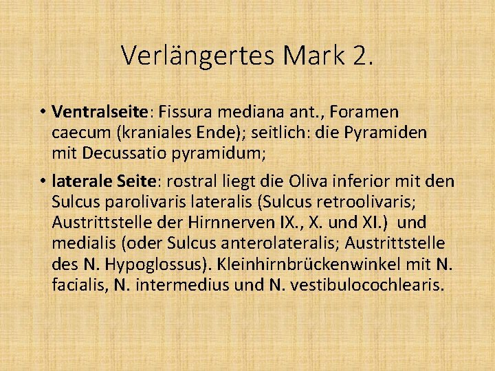 Verlängertes Mark 2. • Ventralseite: Fissura mediana ant. , Foramen caecum (kraniales Ende); seitlich: