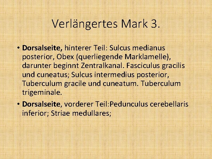 Verlängertes Mark 3. • Dorsalseite, hinterer Teil: Sulcus medianus posterior, Obex (querliegende Marklamelle), darunter