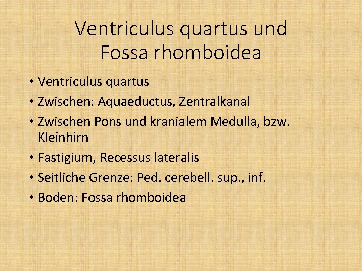 Ventriculus quartus und Fossa rhomboidea • Ventriculus quartus • Zwischen: Aquaeductus, Zentralkanal • Zwischen