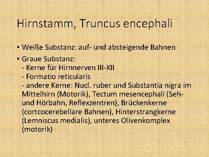 Hirnstamm, Truncus encephali • Weiße Substanz: auf- und absteigende Bahnen • Graue Substanz: -