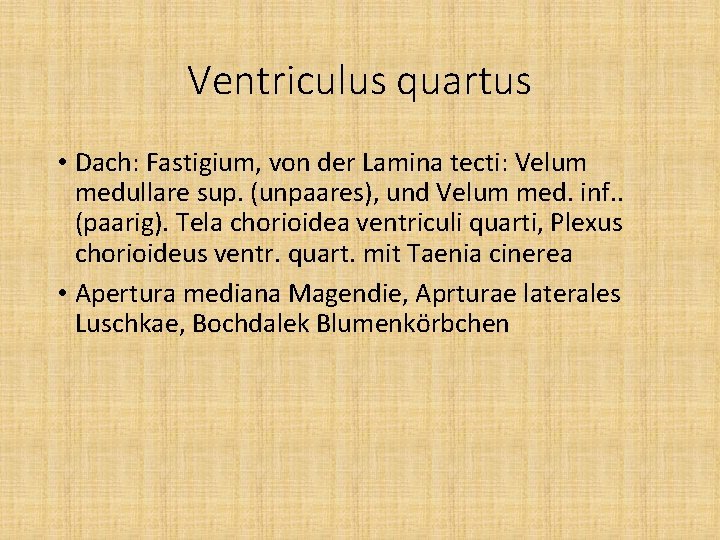 Ventriculus quartus • Dach: Fastigium, von der Lamina tecti: Velum medullare sup. (unpaares), und