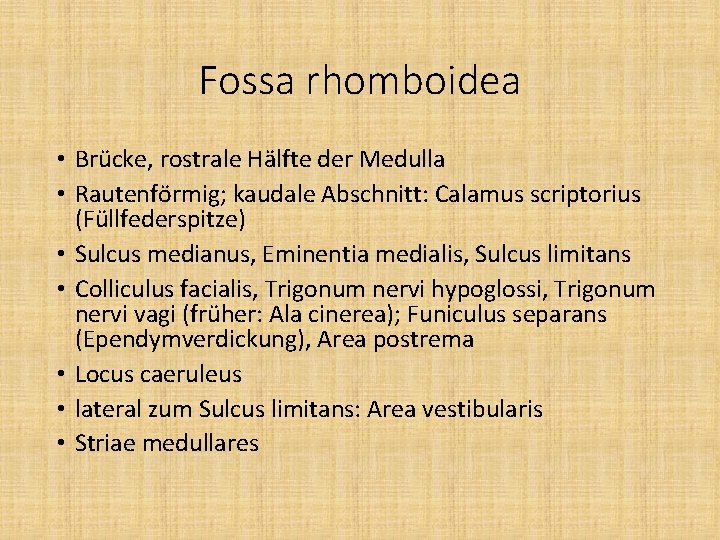 Fossa rhomboidea • Brücke, rostrale Hälfte der Medulla • Rautenförmig; kaudale Abschnitt: Calamus scriptorius