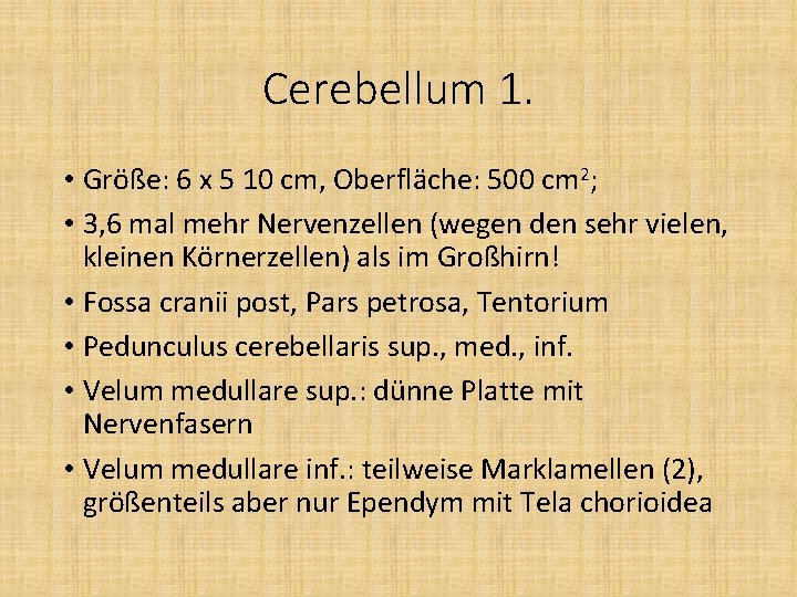 Cerebellum 1. • Größe: 6 x 5 10 cm, Oberfläche: 500 cm 2; • Cerebellum 1. • Größe: 6 x 5 10 cm, Oberfläche: 500 cm 2; •