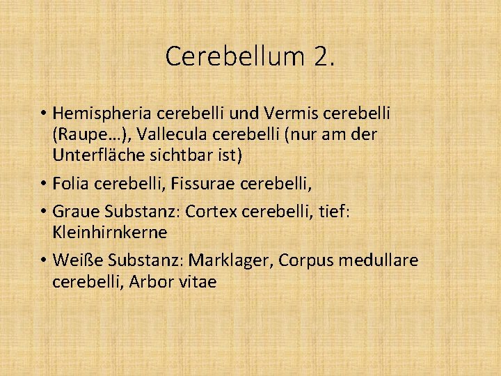 Cerebellum 2. • Hemispheria cerebelli und Vermis cerebelli (Raupe…), Vallecula cerebelli (nur am der