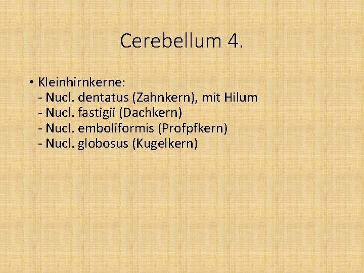 Cerebellum 4. • Kleinhirnkerne: - Nucl. dentatus (Zahnkern), mit Hilum - Nucl. fastigii (Dachkern)