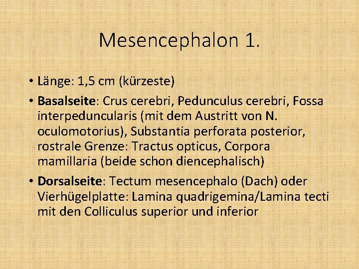 Mesencephalon 1. • Länge: 1, 5 cm (kürzeste) • Basalseite: Crus cerebri, Pedunculus cerebri,