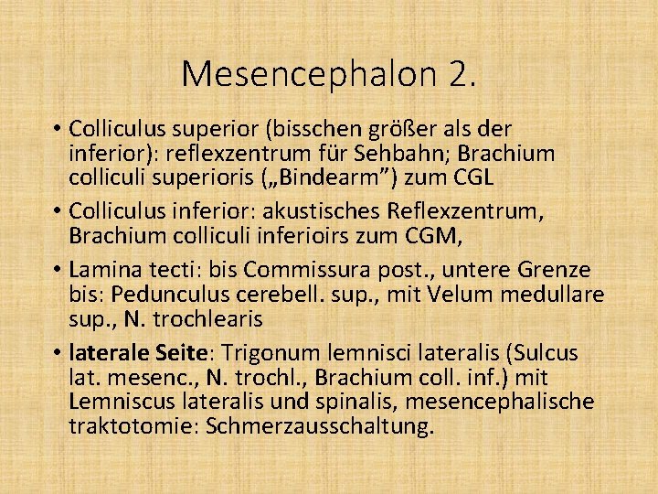 Mesencephalon 2. • Colliculus superior (bisschen größer als der inferior): reflexzentrum für Sehbahn; Brachium