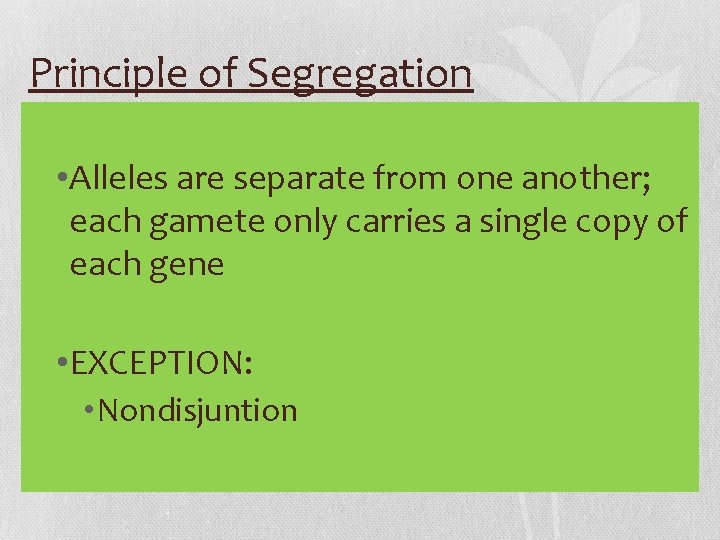 Principle of Segregation • Alleles are separate from one another; each gamete only carries