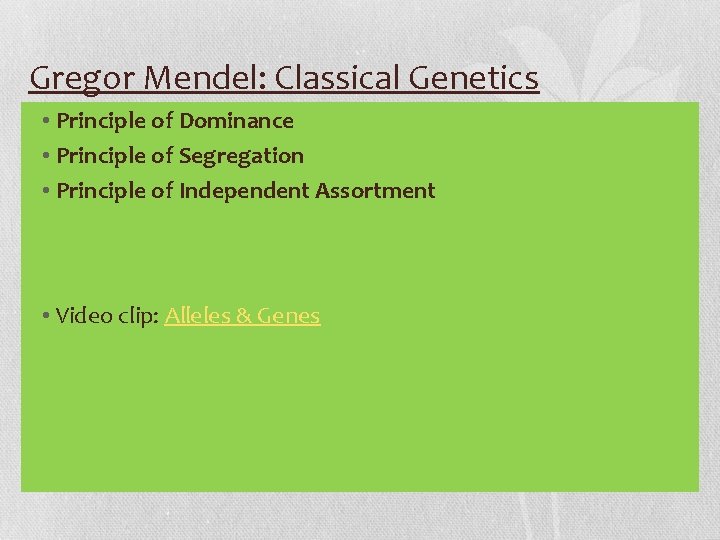 Gregor Mendel: Classical Genetics • Principle of Dominance • Principle of Segregation • Principle