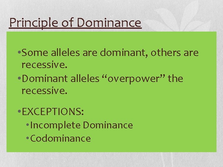 Principle of Dominance • Some alleles are dominant, others are recessive. • Dominant alleles