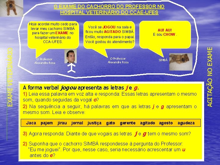 O EXAME DO CACHORRO DO PROFESSOR NO HOSPITAL VETERINÁRIO DO CCAE-UFES O Professor Alexandre O EXAME DO CACHORRO DO PROFESSOR NO HOSPITAL VETERINÁRIO DO CCAE-UFES O Professor Alexandre