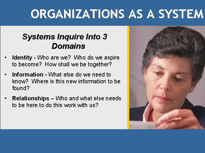 ORGANIZATIONS AS A SYSTEM Systems Inquire Into 3 Domains • Identity - Who are