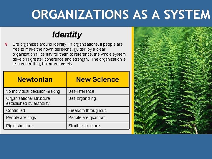 ORGANIZATIONS AS A SYSTEM Identity Life organizes around identity. In organizations, if people are