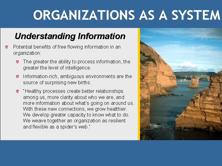 ORGANIZATIONS AS A SYSTEM Understanding Information Potential benefits of free flowing information in an