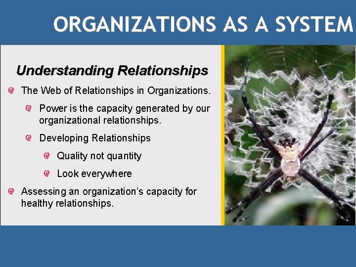 ORGANIZATIONS AS A SYSTEM Understanding Relationships The Web of Relationships in Organizations. Power is