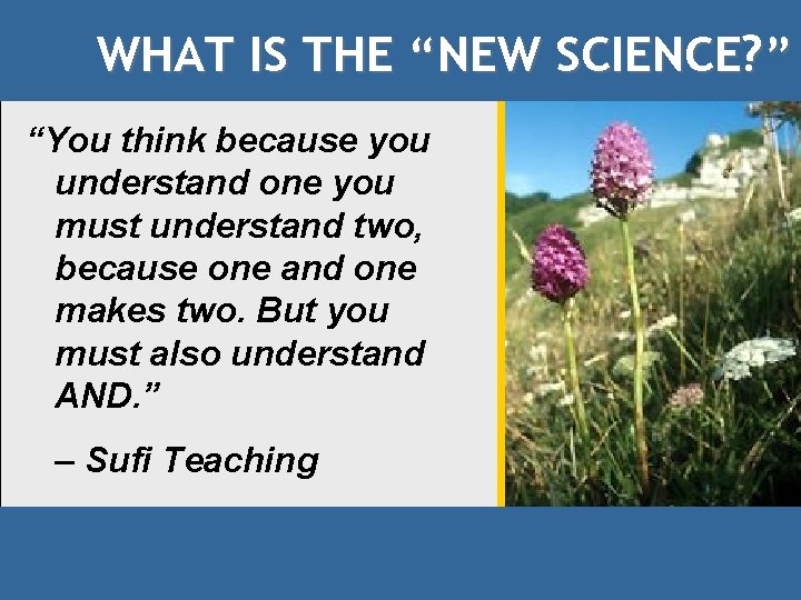 WHAT IS THE “NEW SCIENCE? ” “You think because you understand one you must