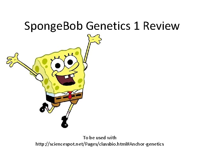 Sponge. Bob Genetics 1 Review To be used with http: //sciencespot. net/Pages/classbio. html#Anchor-genetics 