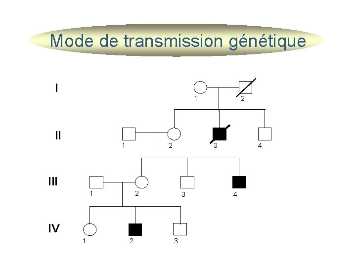 Mode de transmission génétique I 1 II 1 2 2 3 4 III 1