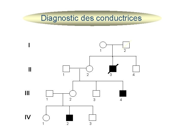 Diagnostic des conductrices I 1 II 1 2 2 3 4 III 1 2