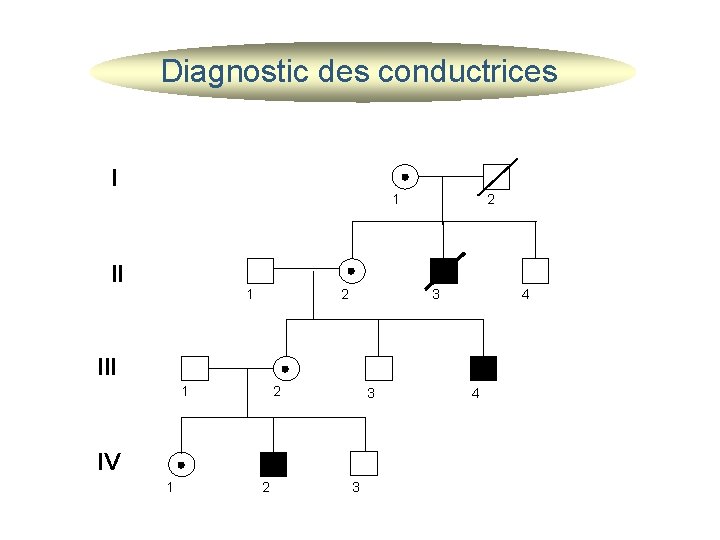 Diagnostic des conductrices I 1 II 1 2 2 3 4 III 1 2