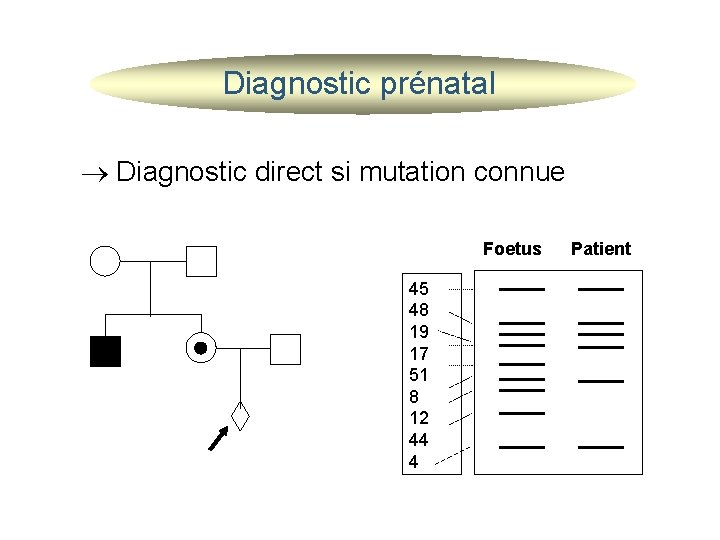 Diagnostic prénatal Diagnostic direct si mutation connue Foetus 45 48 19 17 51 8