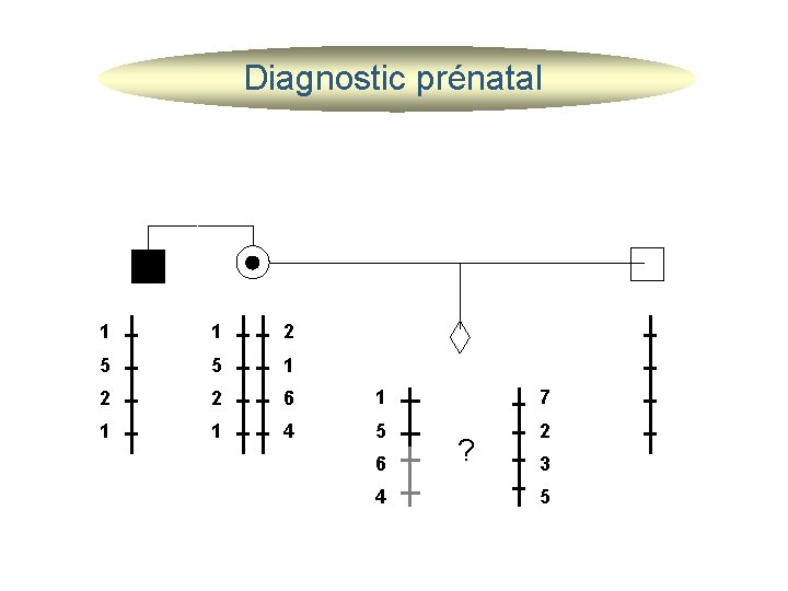 Diagnostic prénatal 1 1 2 5 5 1 2 2 6 1 7 1