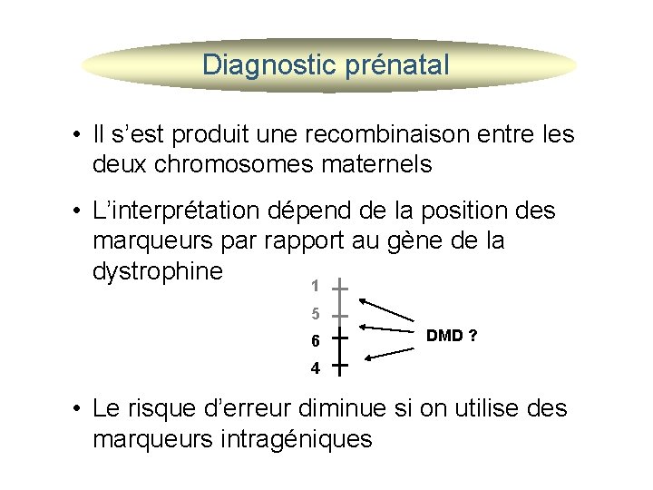 Diagnostic prénatal • Il s’est produit une recombinaison entre les deux chromosomes maternels •