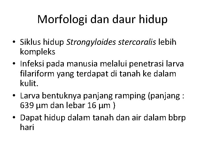 Morfologi dan daur hidup • Siklus hidup Strongyloides stercoralis lebih kompleks • Infeksi pada