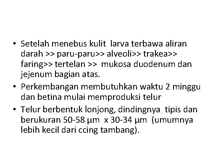  • Setelah menebus kulit larva terbawa aliran darah >> paru-paru>> alveoli>> trakea>> faring>>