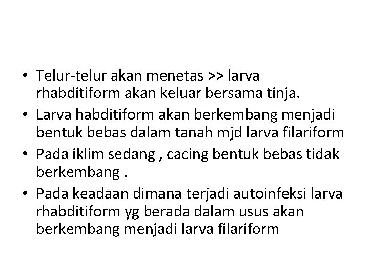  • Telur-telur akan menetas >> larva rhabditiform akan keluar bersama tinja. • Larva