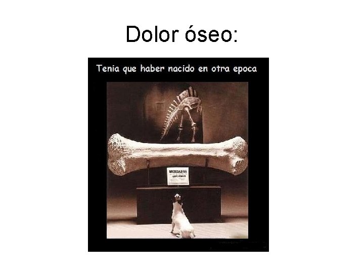 Dolor óseo: 