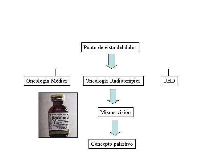Punto de vista del dolor Oncología Médica Oncología Radioterápica Misma visión Concepto paliativo UHD