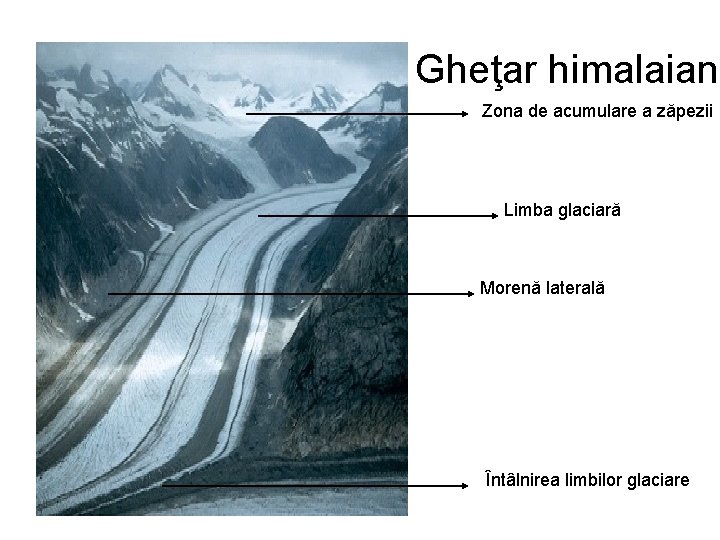 Gheţar himalaian Zona de acumulare a zăpezii Limba glaciară Morenă laterală Întâlnirea limbilor glaciare