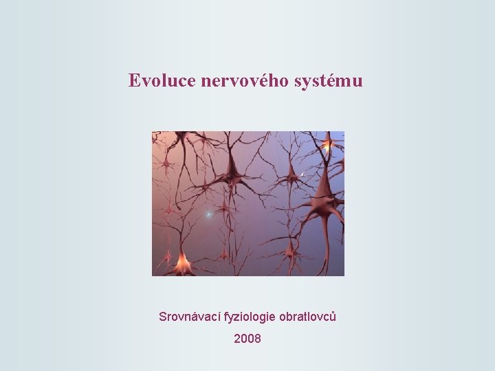 Evoluce nervového systému Srovnávací fyziologie obratlovců 2008 
