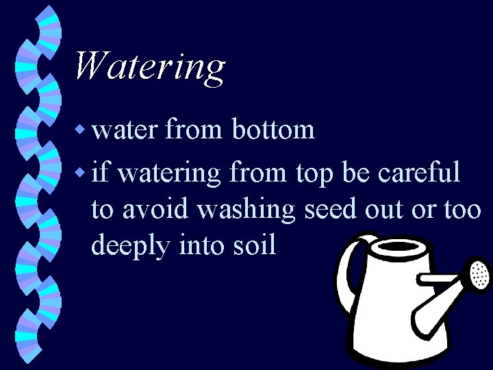 Watering w water from bottom w if watering from top be careful to avoid