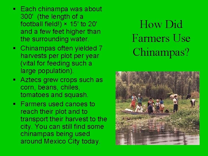 § Each chinampa was about 300' (the length of a football field!) × 15'