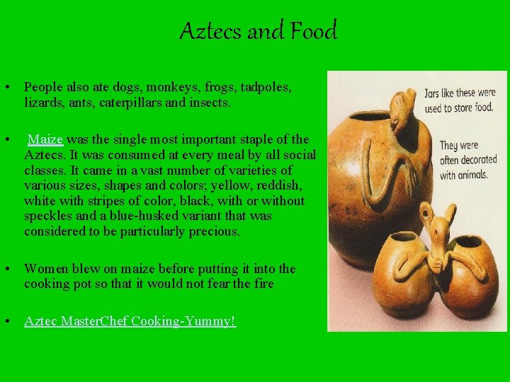 Aztecs and Food • People also ate dogs, monkeys, frogs, tadpoles, lizards, ants, caterpillars