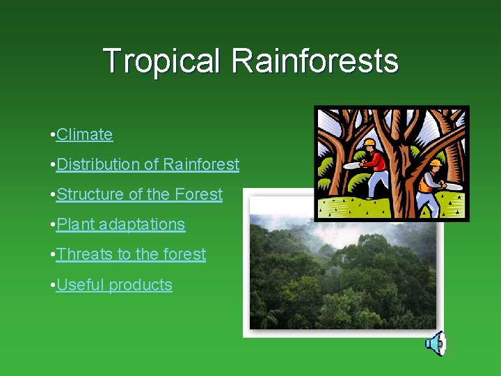 Tropical Rainforests • Climate • Distribution of Rainforest • Structure of the Forest •