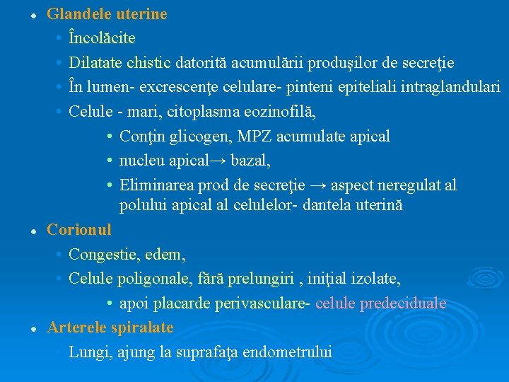 l l l Glandele uterine • Încolăcite • Dilatate chistic datorită acumulării produşilor de