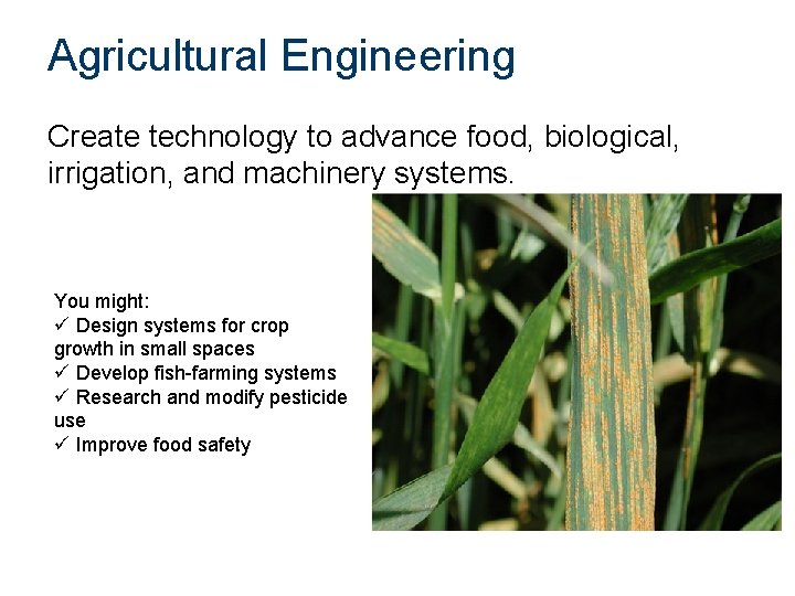 Agricultural Engineering Create technology to advance food, biological, irrigation, and machinery systems. You might: