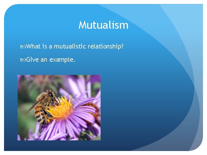 Mutualism What is a mutualistic relationship? Give an example. 