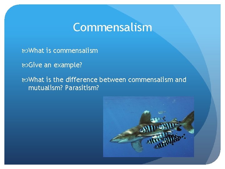 Commensalism What is commensalism Give an example? What is the difference between commensalism and
