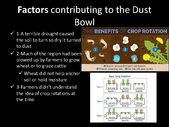 Factors contributing to the Dust Bowl ü 1 -A terrible drought caused the soil