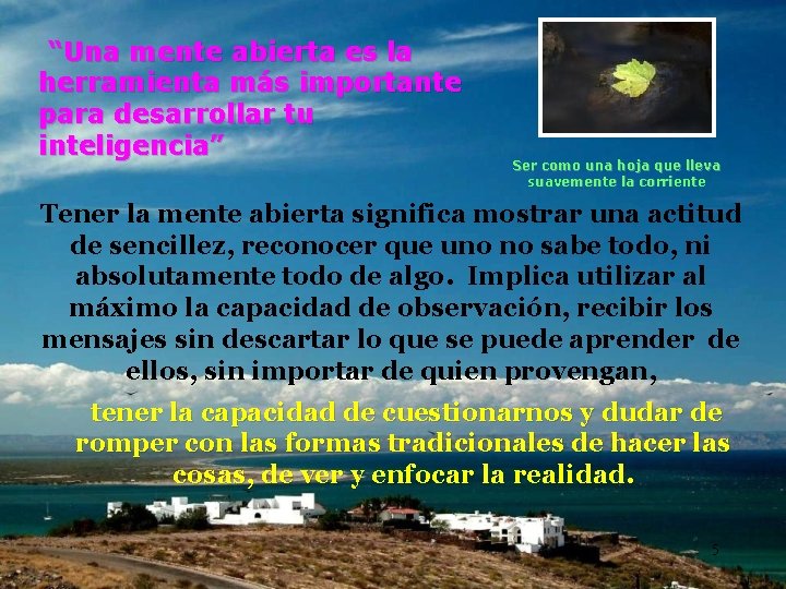 “Una mente abierta es la herramienta más importante para desarrollar tu inteligencia” Ser como