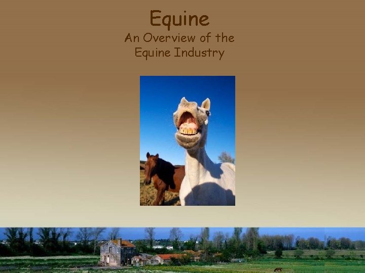 Equine An Overview of the Equine Industry 