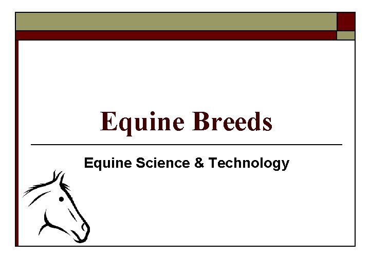 Equine Breeds Equine Science & Technology 
