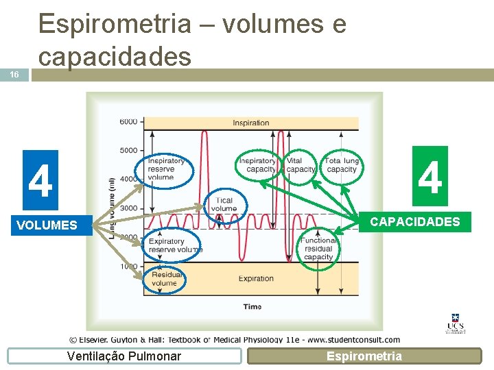 16 Espirometria – volumes e capacidades 4 4 VOLUMES Ventilação Pulmonar CAPACIDADES Espirometria 