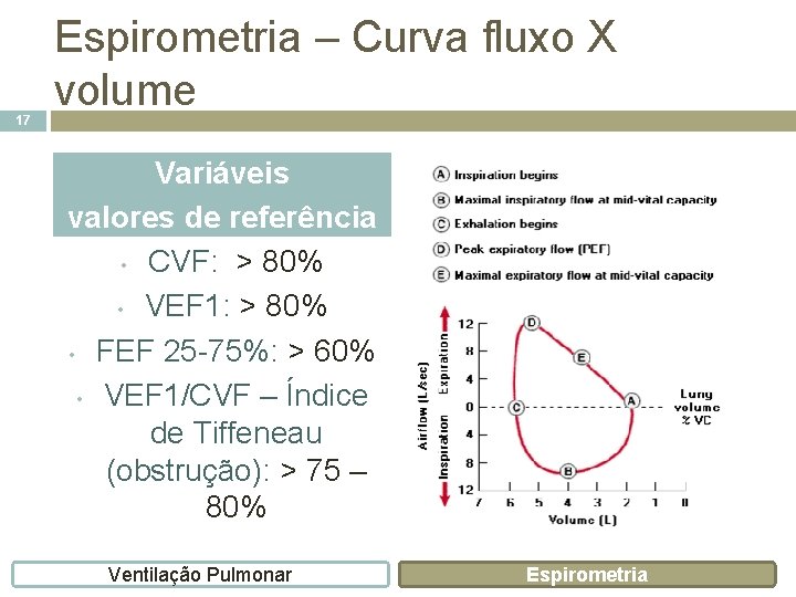 17 Espirometria – Curva fluxo X volume Variáveis valores de referência • CVF: >