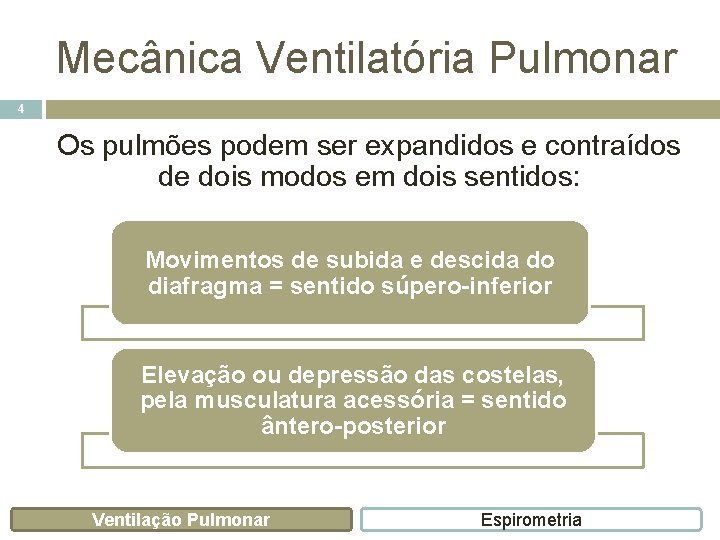 Mecânica Ventilatória Pulmonar 4 Os pulmões podem ser expandidos e contraídos de dois modos