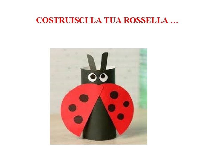 COSTRUISCI LA TUA ROSSELLA … 